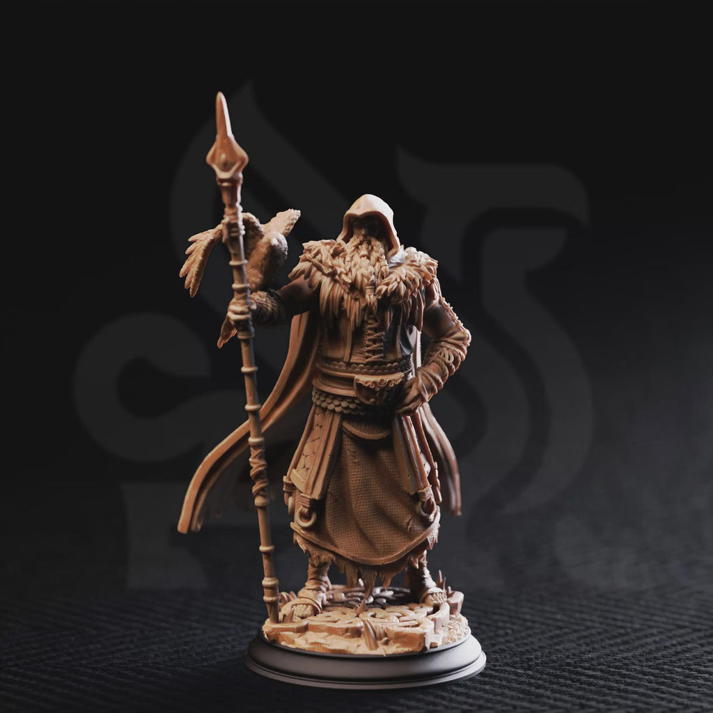 The One Eyed Wanderer | Fantasy D&D Miniature | Hero, Villain or NPC, Resin Model